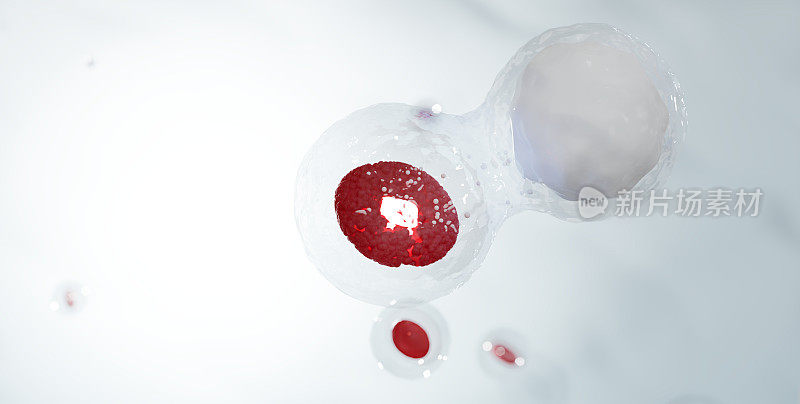 ฺBiology microscope Cell health transfer with blood repair, hematology. 3d render.